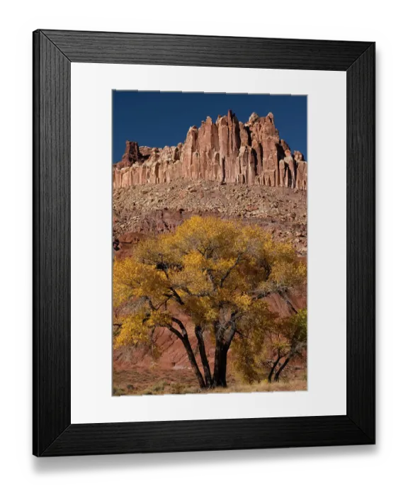 Framed Print : USA, Utah. The Castle, geological features and autumn foliage, Capitol Reef National Park Framed Print : USA, Utah. The Castle, geological features and autumn foliage, Capitol Reef National Park