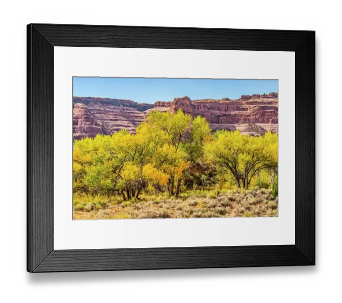 Framed Print : Autumn leaves, Arches National Park, Moab, Utah, USA
