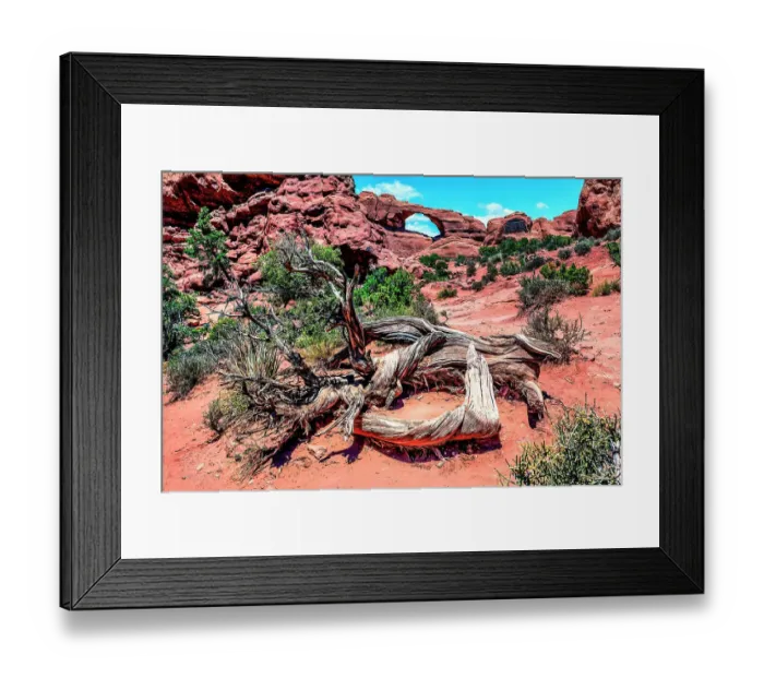 Framed Print : Skyline Arch, Arches National Park, Moab, Utah, USA Framed Print : Skyline Arch, Arches National Park, Moab, Utah, USA