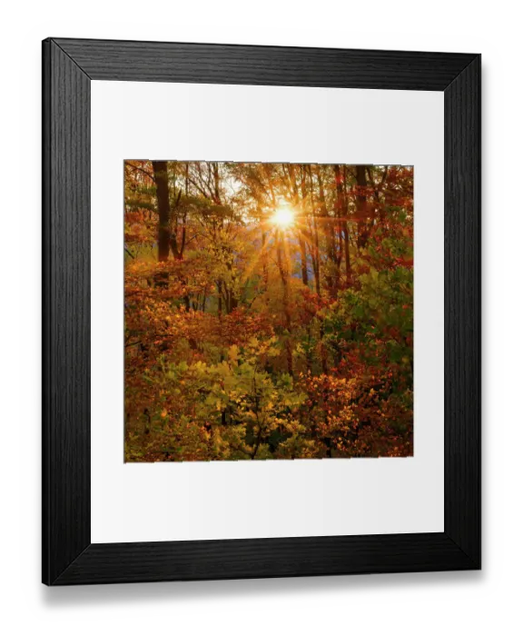 Framed Print : Autumn in the forest of the Koszeg mountains (Koszegi Hegyseg) near Velem in the naturepark Geschriebenstein, Hungary Framed Print : Autumn in the forest of the Koszeg mountains (Koszegi Hegyseg) near Velem in the naturepark Geschriebenstein, Hungary