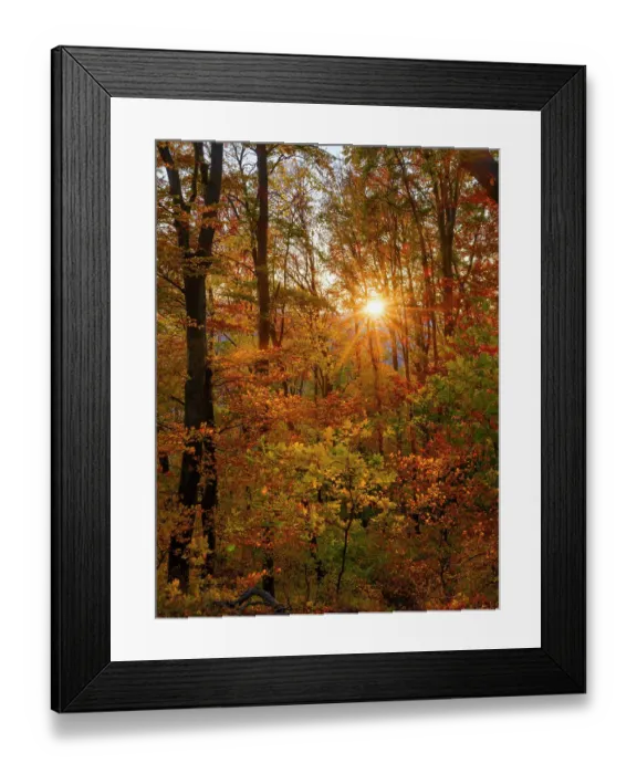 Framed Print : Autumn in the forest of the Koszeg mountains (Koszegi Hegyseg) near Velem in the naturepark Geschriebenstein, Hungary
