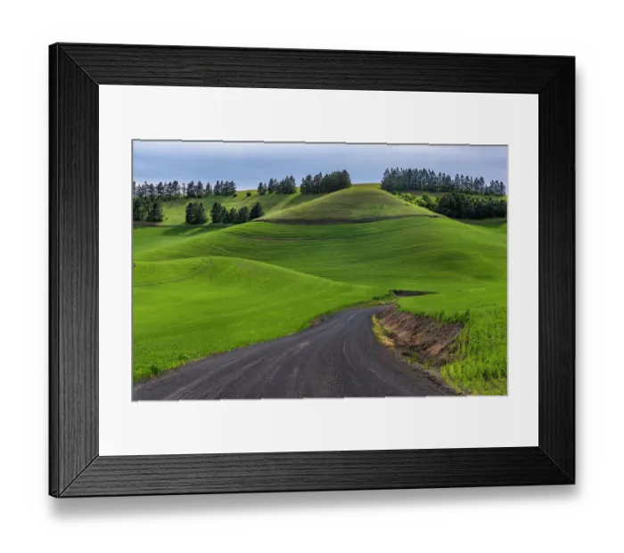 Framed Print : Filan gravel road in rolling hills of wheat near Colfax, Washington State, USA Framed Print : Filan gravel road in rolling hills of wheat near Colfax, Washington State, USA