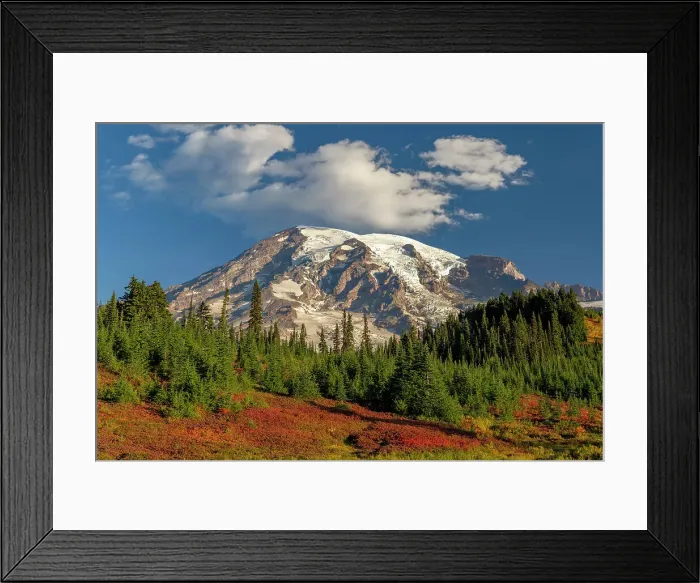 Framed Print : Autumn color at Paradise Meadows in Mount Rainier National Park, Washington State, USA