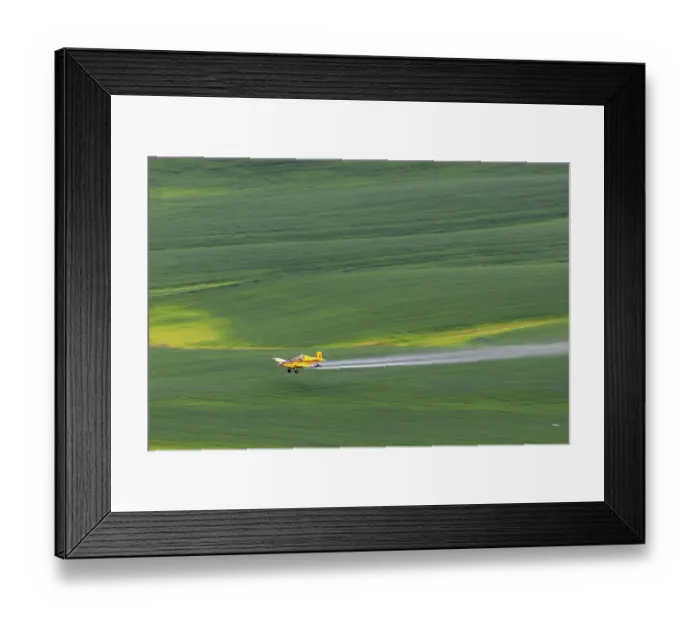Framed Print : Crop duster applying chemicals on wheat fields from Steptoe Butte near Colfax, Washington State, USA Framed Print : Crop duster applying chemicals on wheat fields from Steptoe Butte near Colfax, Washington State, USA