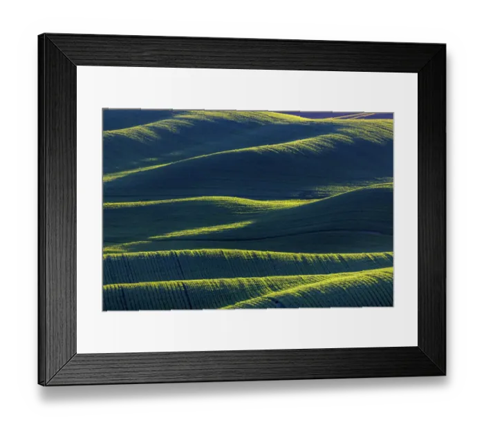 Framed Print : Rolling hills of wheat from Steptoe Butte near Colfax, Washington State, USA Framed Print : Rolling hills of wheat from Steptoe Butte near Colfax, Washington State, USA