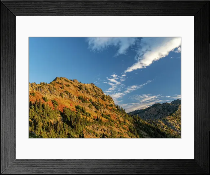 Framed Print : Autumn color on Yakima Peak in Mount Rainier National Park, Washington State, USA