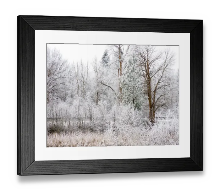 Framed Print : USA, Washington State, Cle Elum, Kittitas County. Winter along the Yakima River Framed Print : USA, Washington State, Cle Elum, Kittitas County. Winter along the Yakima River