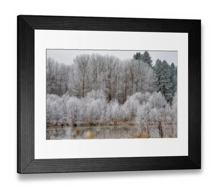 Framed Print : USA, Washington State, Cle Elum, Kittitas County. Winter along the Yakima River Framed Print : USA, Washington State, Cle Elum, Kittitas County. Winter along the Yakima River