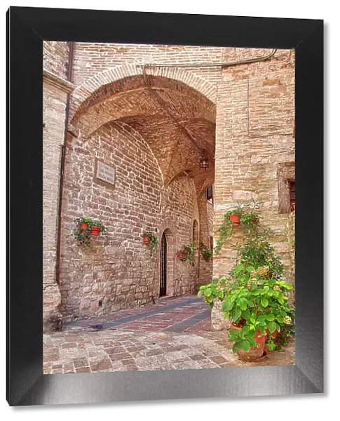 Italy, Umbria. Archway with potted flowers in the streets of Assisi