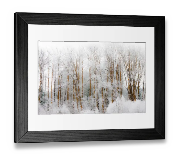 Framed Print : USA, Washington State, Cle Elum, Kittitas County. Winter along the Yakima River