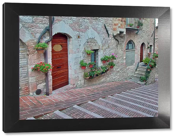 Italy, Umbria, Assisi. Walkway along the streets of Assisi lined with flowering pots