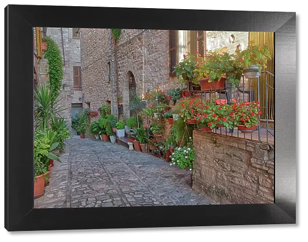 Italy, Umbria. Scenic sight in Spello, flowery and picturesque village