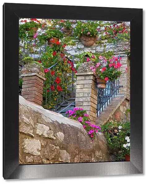 Italy, Umbria, Assisi. Entrance to a home with flowering pots on stone wall