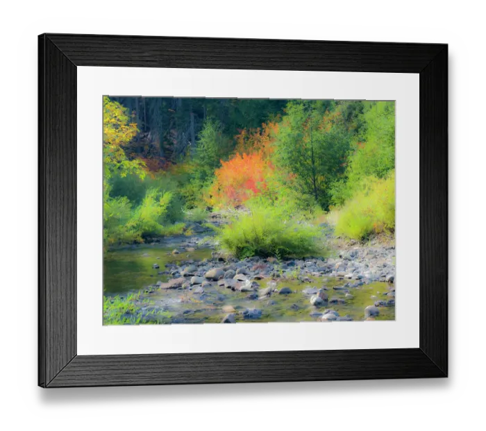 Framed Print : USA, Washington State, Kittitas County. Small creek surrounded by vine maples in the fall Framed Print : USA, Washington State, Kittitas County. Small creek surrounded by vine maples in the fall
