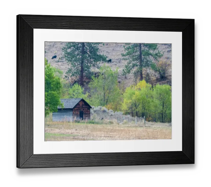 Framed Print : USA, Washington State, Okanogan County. Old out building Framed Print : USA, Washington State, Okanogan County. Old out building