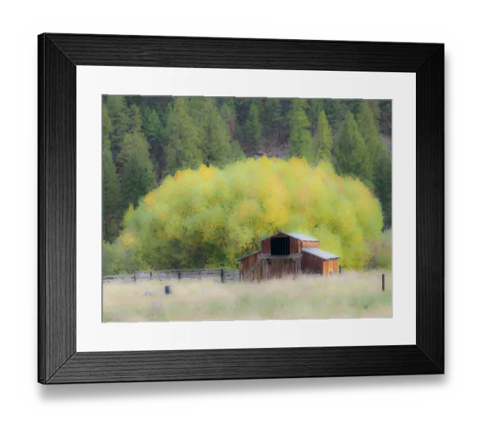 Framed Print : USA, Washington State, Okanogan County. Old barn in a field in the fall Framed Print : USA, Washington State, Okanogan County. Old barn in a field in the fall