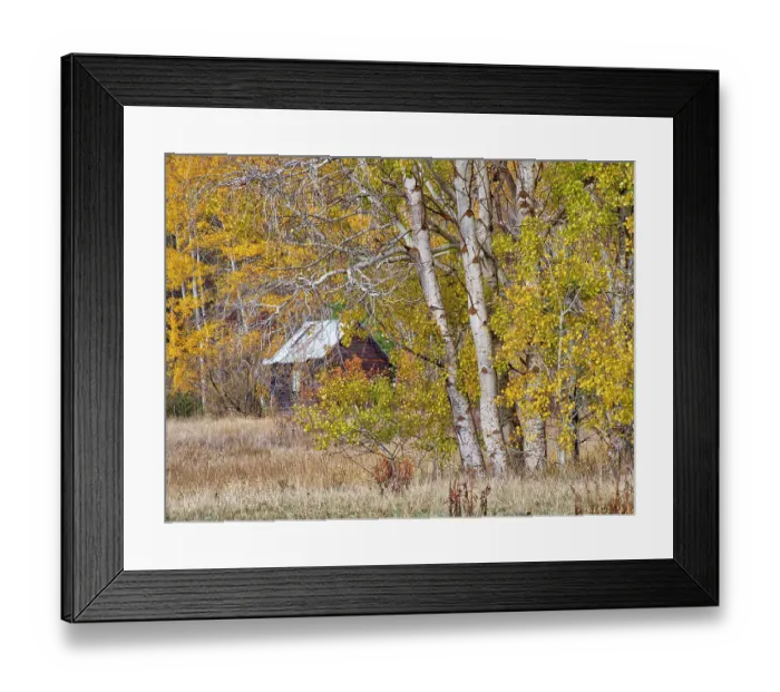 Framed Print : USA, Washington State, Eastern Washington, Cle Elum, Kittitas County Framed Print : USA, Washington State, Eastern Washington, Cle Elum, Kittitas County