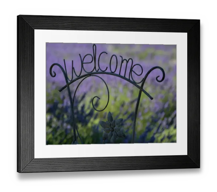 Framed Print : Usa, Washington State. Snoqualmie Valley. Black iron Welcome sign in garden with lavender Framed Print : Usa, Washington State. Snoqualmie Valley. Black iron Welcome sign in garden with lavender