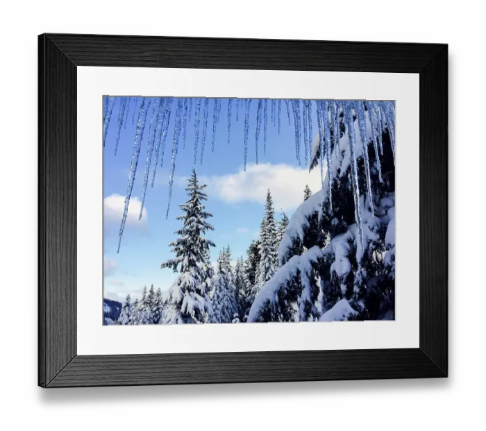 Framed Print : Usa, Washington State. Crystal Mountain, icicles and snow-covered trees