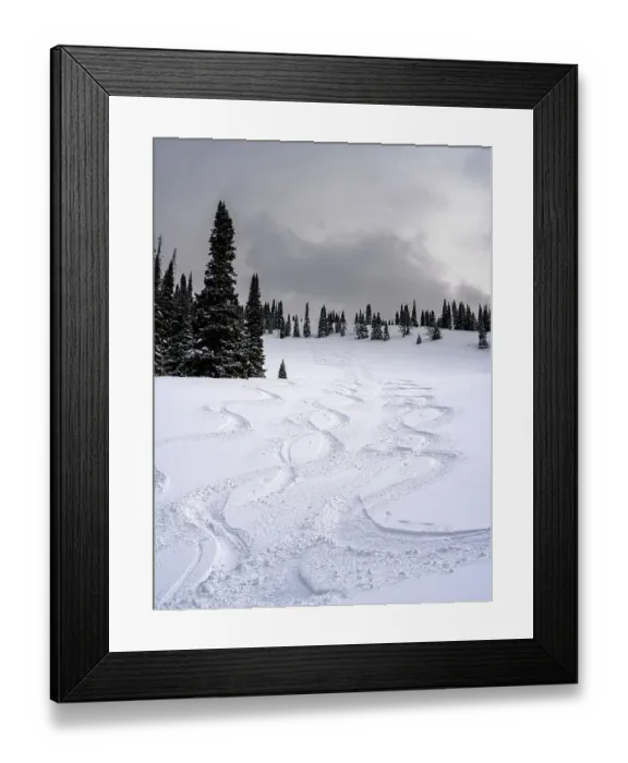 Framed Print : USA, Wyoming. Ski tracks in powder near Jackson Hole Framed Print : USA, Wyoming. Ski tracks in powder near Jackson Hole