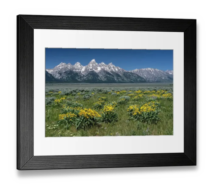 Framed Print : USA, Wyoming. Grand Teton Range, Grand Teton National Park Framed Print : USA, Wyoming. Grand Teton Range, Grand Teton National Park