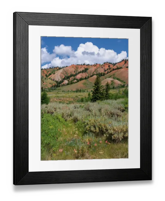 Framed Print : USA, Wyoming. Red Hills, Bridger Teton National Forest