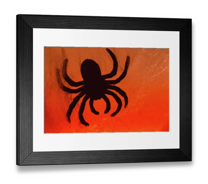 Framed Print : Spider on web