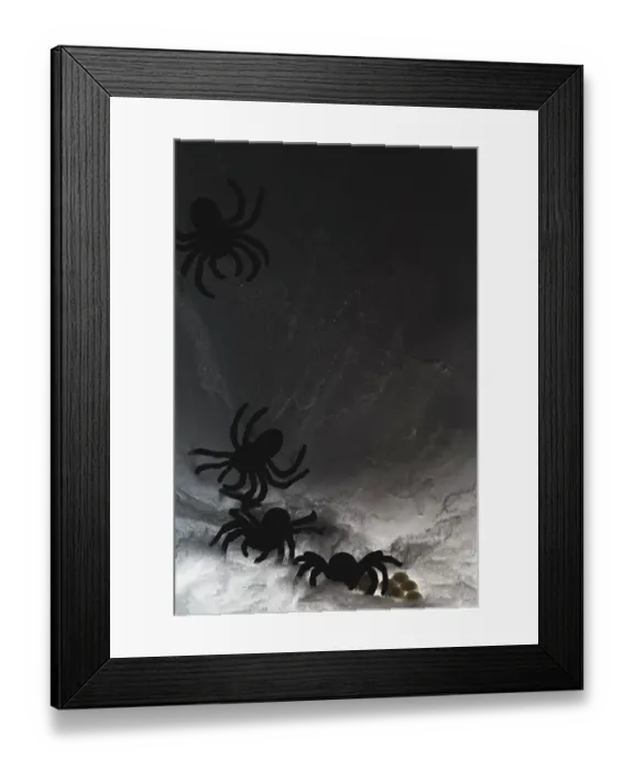 Framed Print : Spider on web