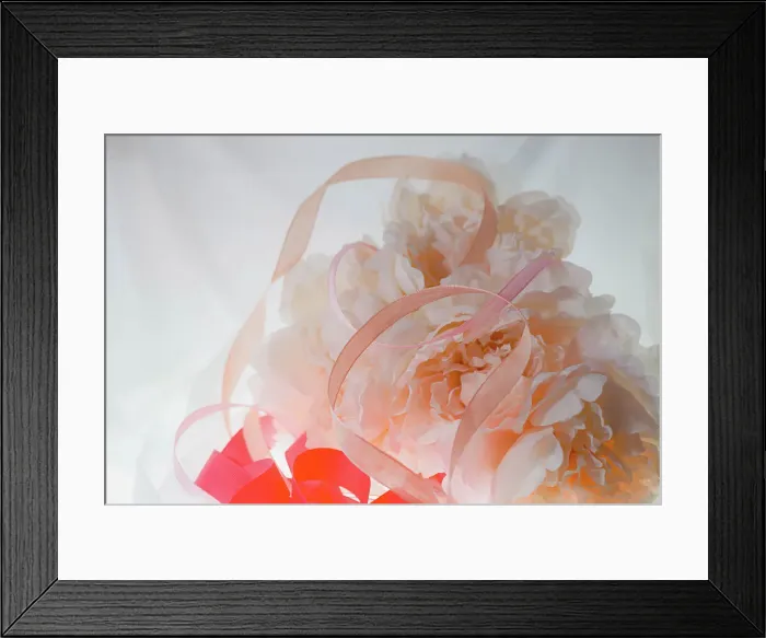 Framed Print : Flowers and light Framed Print : Flowers and light