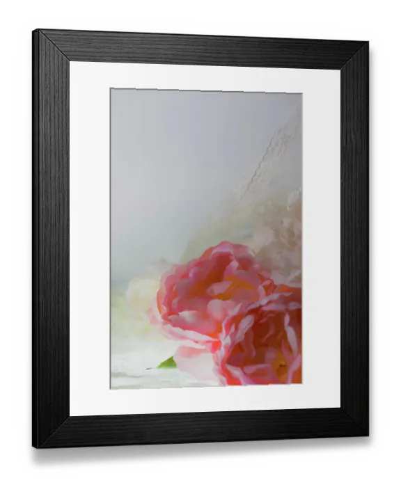 Framed Print : Flowers and light