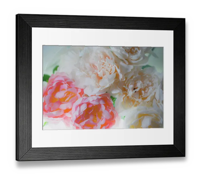 Framed Print : Flowers and light Framed Print : Flowers and light