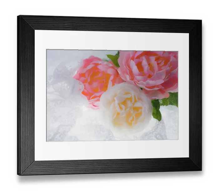 Framed Print : Flowers and light Framed Print : Flowers and light