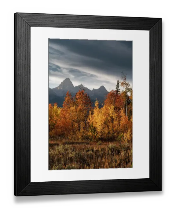 Framed Print : USA, Wyoming. Autumn evening near Black Tail Butte, Grand Teton National Park Framed Print : USA, Wyoming. Autumn evening near Black Tail Butte, Grand Teton National Park