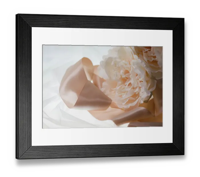 Framed Print : Flowers and light Framed Print : Flowers and light