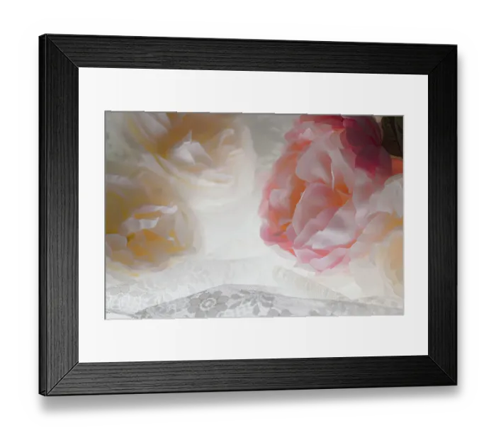 Framed Print : Flowers and light