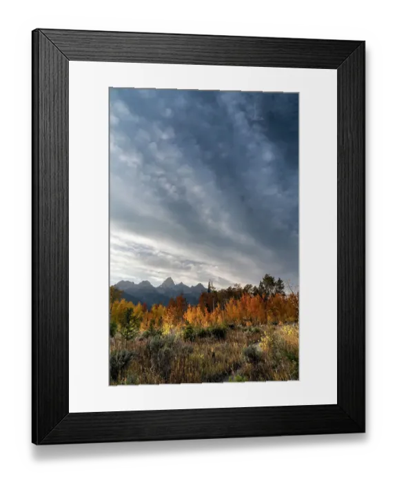 Framed Print : USA, Wyoming. Autumn evening near Black Tail Butte, Grand Teton National Park Framed Print : USA, Wyoming. Autumn evening near Black Tail Butte, Grand Teton National Park