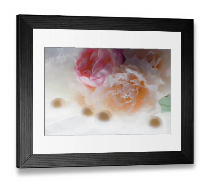 Framed Print : Flowers and light Framed Print : Flowers and light