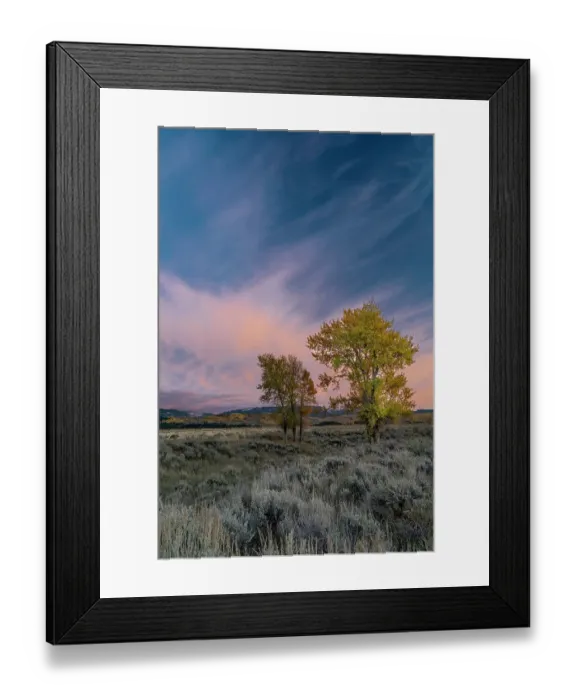 Framed Print : USA, Wyoming. Sunset clouds and cottonwoods, near Antelope Flats and Mormon Row, Grand Teton National Park Framed Print : USA, Wyoming. Sunset clouds and cottonwoods, near Antelope Flats and Mormon Row, Grand Teton National Park