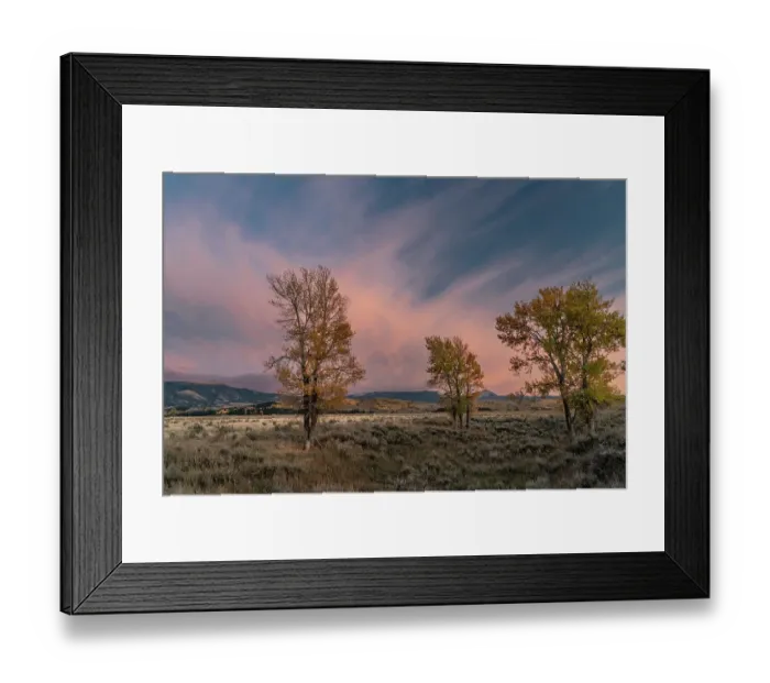 Framed Print : USA, Wyoming. Sunset clouds and cottonwoods, near Antelope Flats and Mormon Row, Grand Teton National Park Framed Print : USA, Wyoming. Sunset clouds and cottonwoods, near Antelope Flats and Mormon Row, Grand Teton National Park