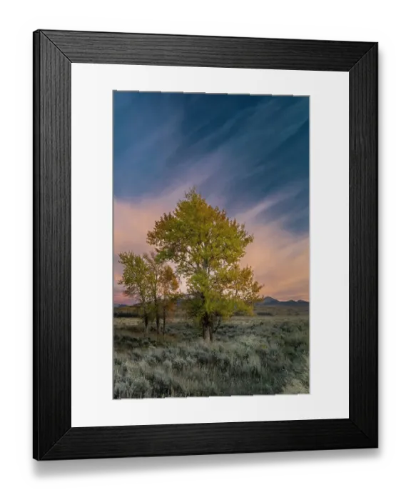 Framed Print : USA, Wyoming. Sunset clouds and cottonwoods, near Antelope Flats and Mormon Row, Grand Teton National Park Framed Print : USA, Wyoming. Sunset clouds and cottonwoods, near Antelope Flats and Mormon Row, Grand Teton National Park