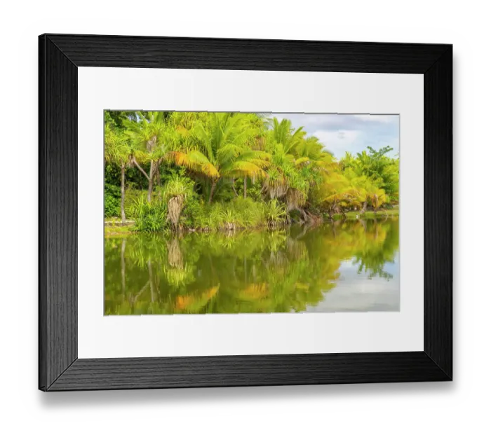 Framed Print : French Polynesia, Taha'a. Tropical lagoon and jungle Framed Print : French Polynesia, Taha'a. Tropical lagoon and jungle