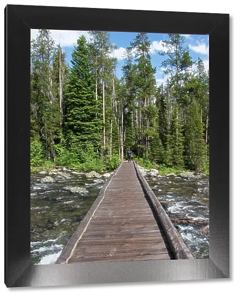 Footbridge over String Lake, Grand Tetons National Park, Wyoming, USA. (Editorial Use Only)