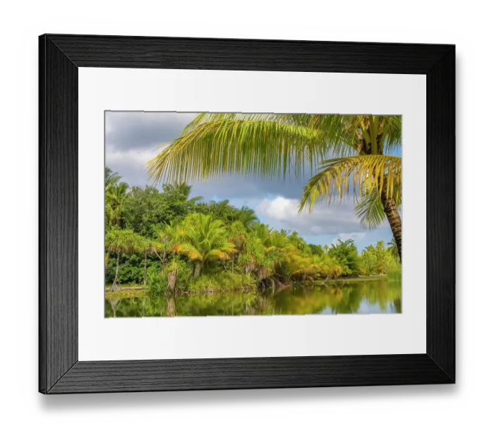 Framed Print : French Polynesia, Taha'a. Tropical lagoon and jungle Framed Print : French Polynesia, Taha'a. Tropical lagoon and jungle