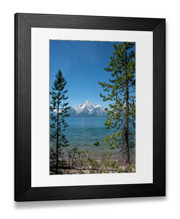 Framed Print : Lakeshore Trail, Colter Bay, Grand Tetons National Park, Wyoming, USA Framed Print : Lakeshore Trail, Colter Bay, Grand Tetons National Park, Wyoming, USA