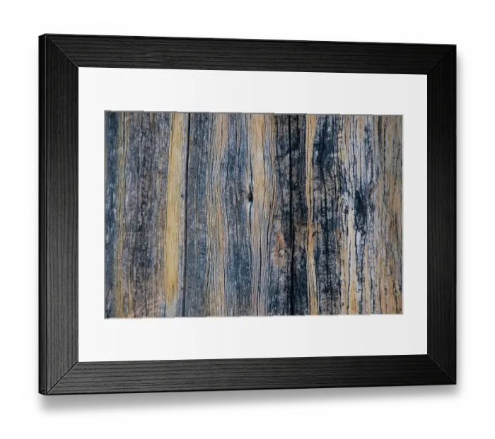 Framed Print : Lodgepole pine, Lakeshore Trail, Colter Bay, Grand Tetons National Park, Wyoming, USA Framed Print : Lodgepole pine, Lakeshore Trail, Colter Bay, Grand Tetons National Park, Wyoming, USA