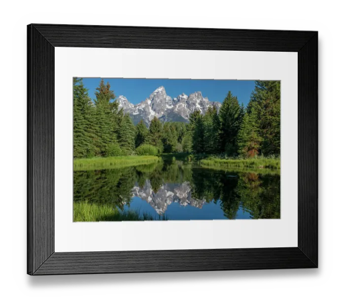 Framed Print : Blue spruce trees and the Grand Tetons, Schwabacher Landing, Grand Teton National Park, Wyoming, USA Framed Print : Blue spruce trees and the Grand Tetons, Schwabacher Landing, Grand Teton National Park, Wyoming, USA