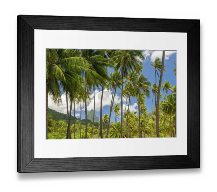 Framed Print : French Polynesia, Moorea. Bali Hai mountain and palm trees Framed Print : French Polynesia, Moorea. Bali Hai mountain and palm trees