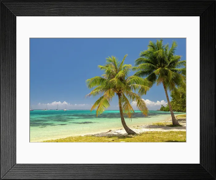 Framed Print : French Polynesia, Moorea. Landscape with moored boats and shore