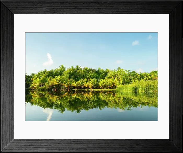 Framed Print : French Polynesia, Taha'a. Tropical jungle reflects in lagoon Framed Print : French Polynesia, Taha'a. Tropical jungle reflects in lagoon