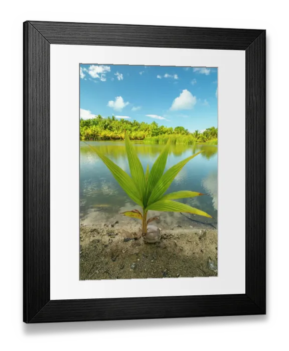 Framed Print : French Polynesia, Taha'a. Tropical jungle reflects in lagoon
